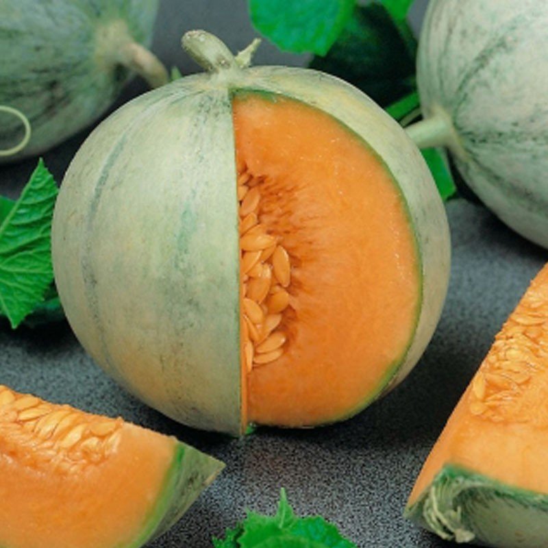 Melon charentais