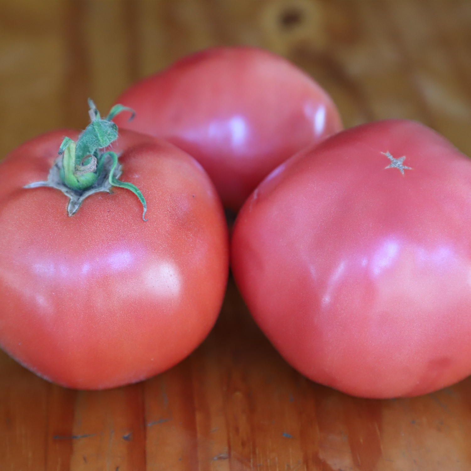 Tomate Aretxabaleta